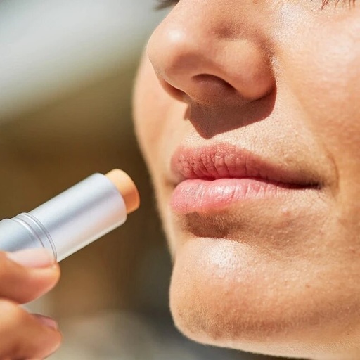 ISDIN PROTECTOR LABIAL HV SPF30 4G