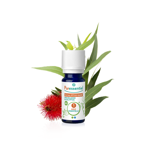 PURESSENTIEL HUILE ESSENTIELLE EUCALYPTUS RADIE BIO 10ML